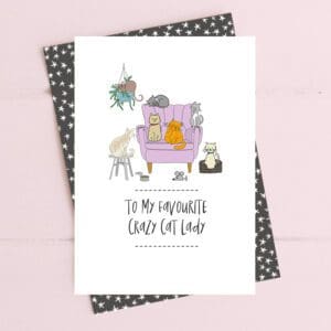 To my favourite crazy cat lady