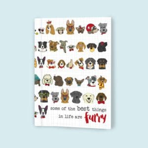 Best things in life are furry