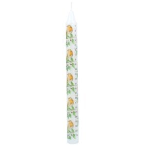 Taper Candle 23cm - Robin/Holly Advent
