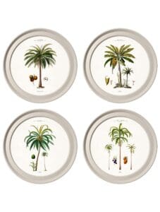 c.1843 Studies of South American Palm Trees in Light Round Frames