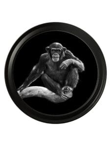Wildlife Photography - Chimpanzee - Round Frame