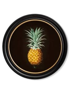 c.1812 Pineapple Study (Black) - Round Frame