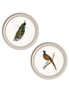 c.1809 British Birds in Light Round Frames
