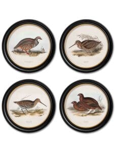 c.1837's British Game Birds - Round