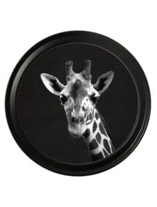 Wildlife Photography - Giraffe - Round Frame
