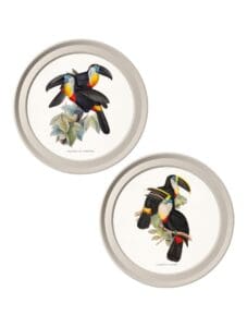 c.1848 Toucans - Light Round Frames