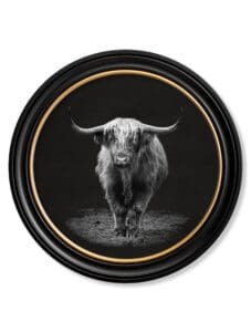Wildlife Photography - Highland Cow - Round Frame