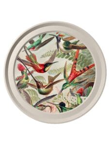 c.1904 Haeckel Hummingbirds - Light Round Frame