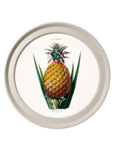 c.1843 Pineapple Plant - Light Round Frame