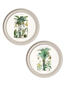 c.1877 Tropical Plants Used as Food and Clothing - Light Round Frame