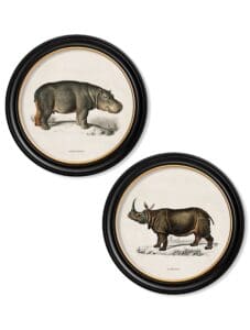 c.1846 Rhino & Hippo - Round Frames