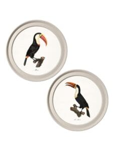 c.1809 Toucans - Light Round Frame