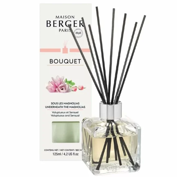 BQT Glacon Sous Les Magnolias