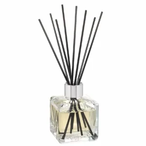 BQT Glacon Cuir Mystique