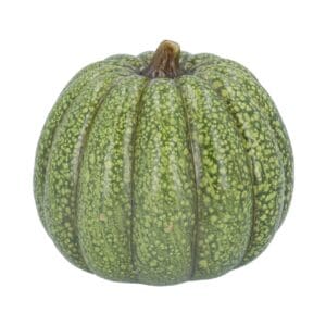 Ceramic Ornament 16.3cm - Green Speckle Pumpkin