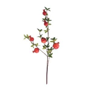 Stem 95cm - Red & Green Pomegranate