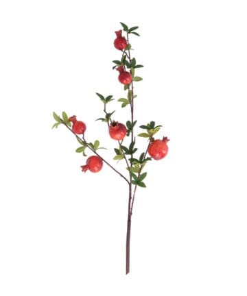 Stem 95cm - Red & Green Pomegranate
