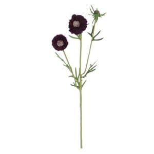 Spray - 50cm Purple Scabiosa Single Flower and Bud