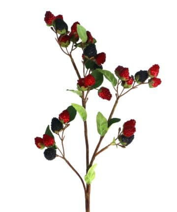 Stem 81cm - Raspberry/Blackberry