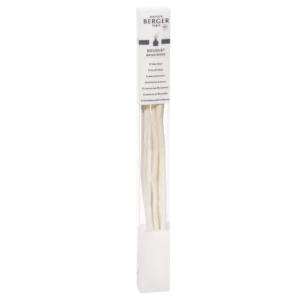 ETUI 6 Brins 21cm BQT Aroma