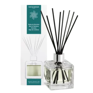 BQT Glacon Zeste Verveine