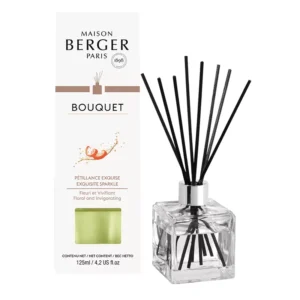 BQT Glacon Petillance Exquise