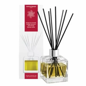 BQT Glacon Orange Cannelle