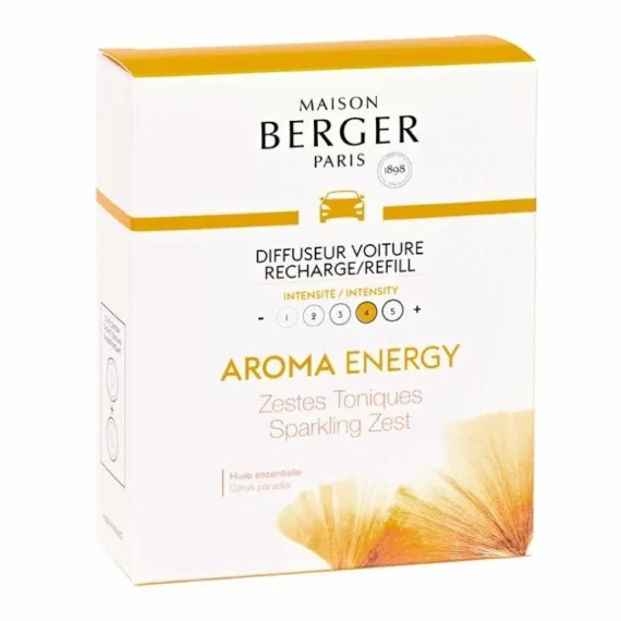 RECH Voit. Aroma Energy X2