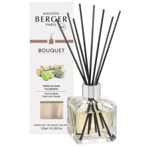 BQT Glacon Terre Sauvage