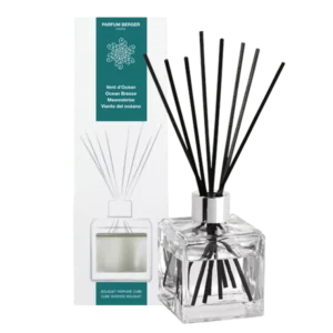 BQT Glacon Vent Ocean