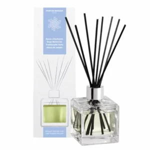 BQT Glacon Savon Autrefois